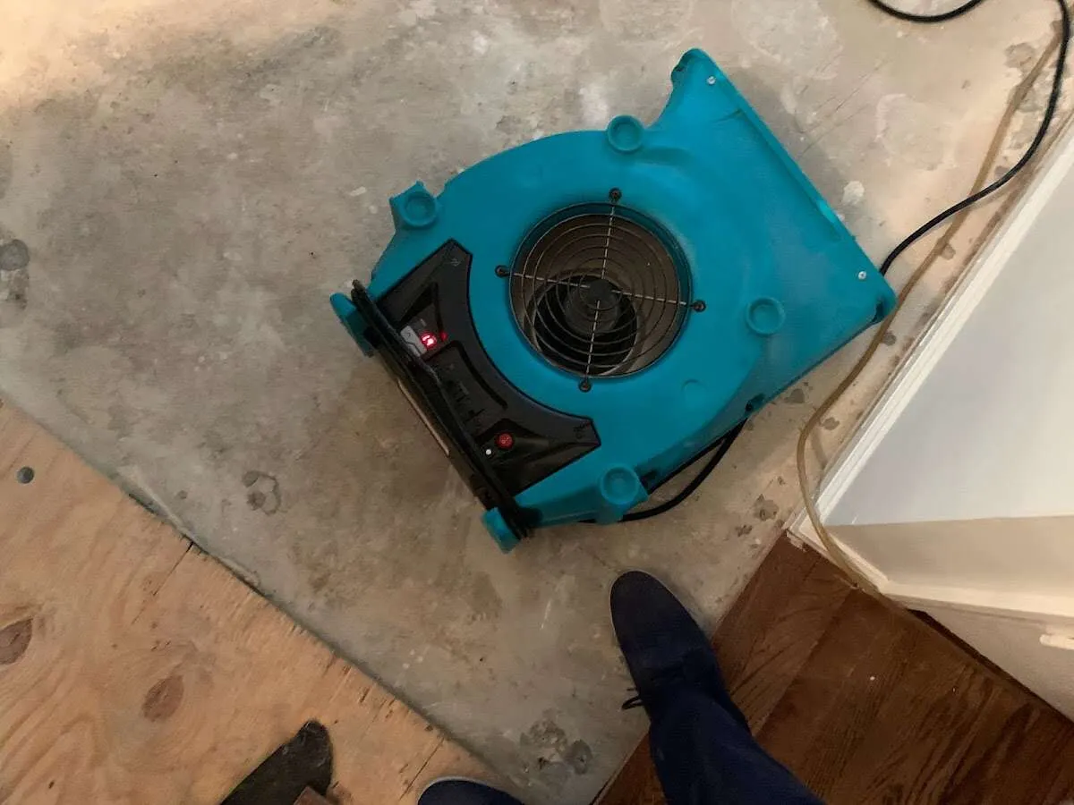 Air mover drying subfloor during Commercial Water Damage Restoration in Palm River-Clair Mel