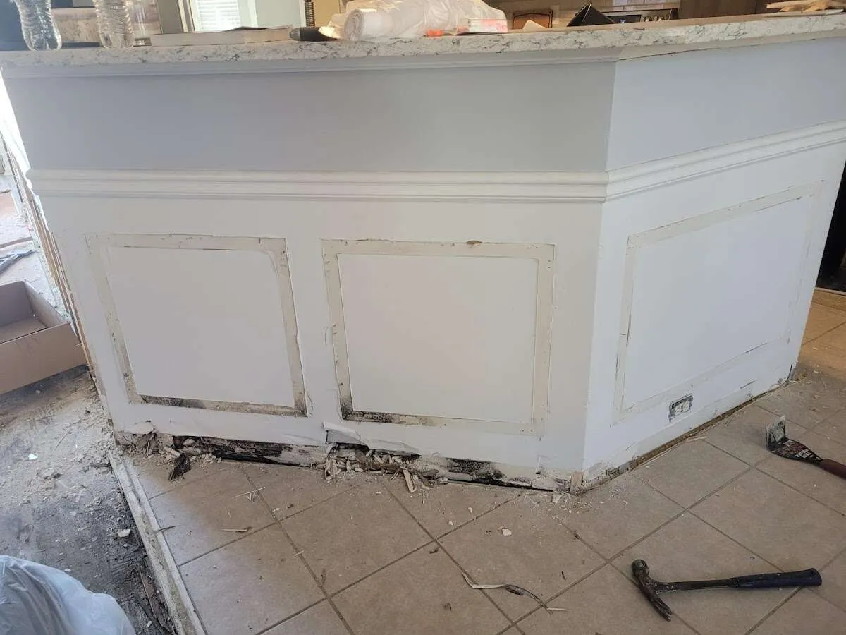 Water damage and mold on kitchen during Mold Inspection & Testing in Palm River-Clair Mel